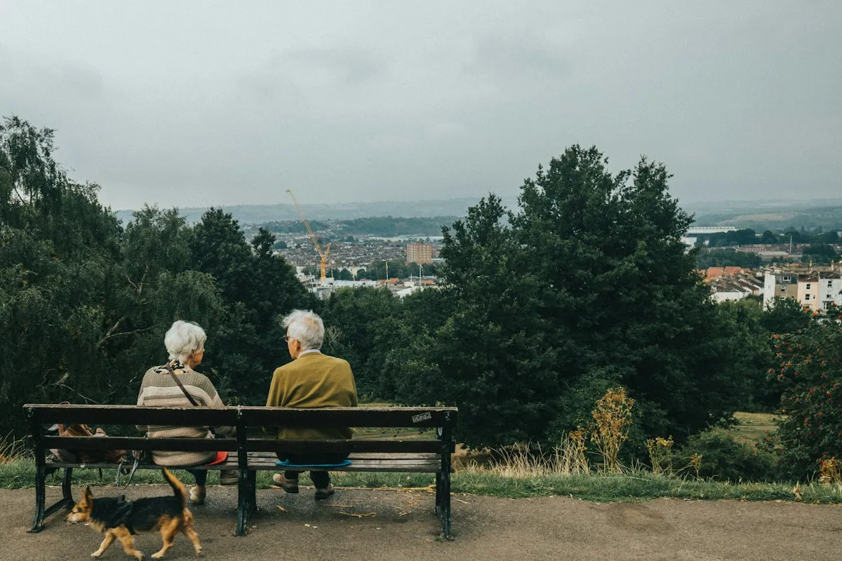 An older couple sitting on a park bench with their dog, looking out over a British city on a grey day