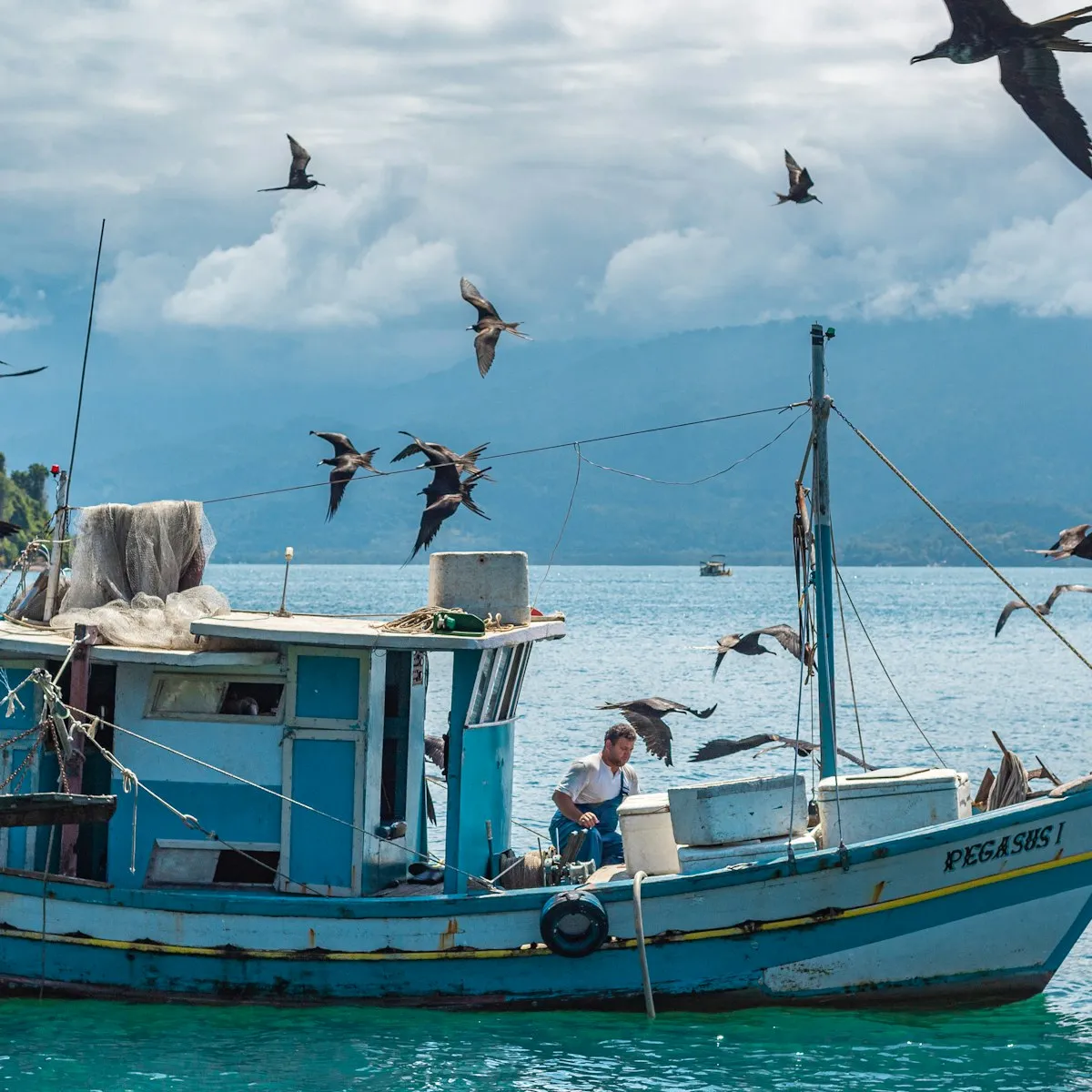 A small wooden fishing boat at sea with seabirds circling overhead