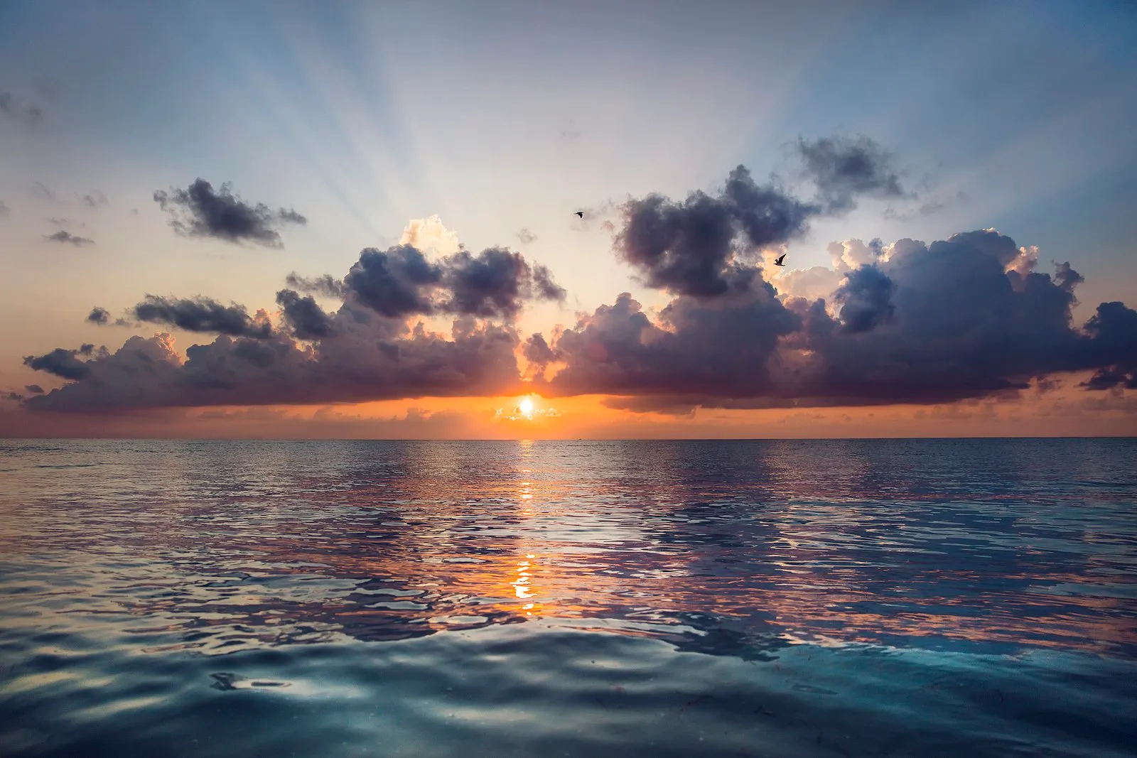 Sunrise over a calm sea with rays breaking through cloud — a horizon of purpose.